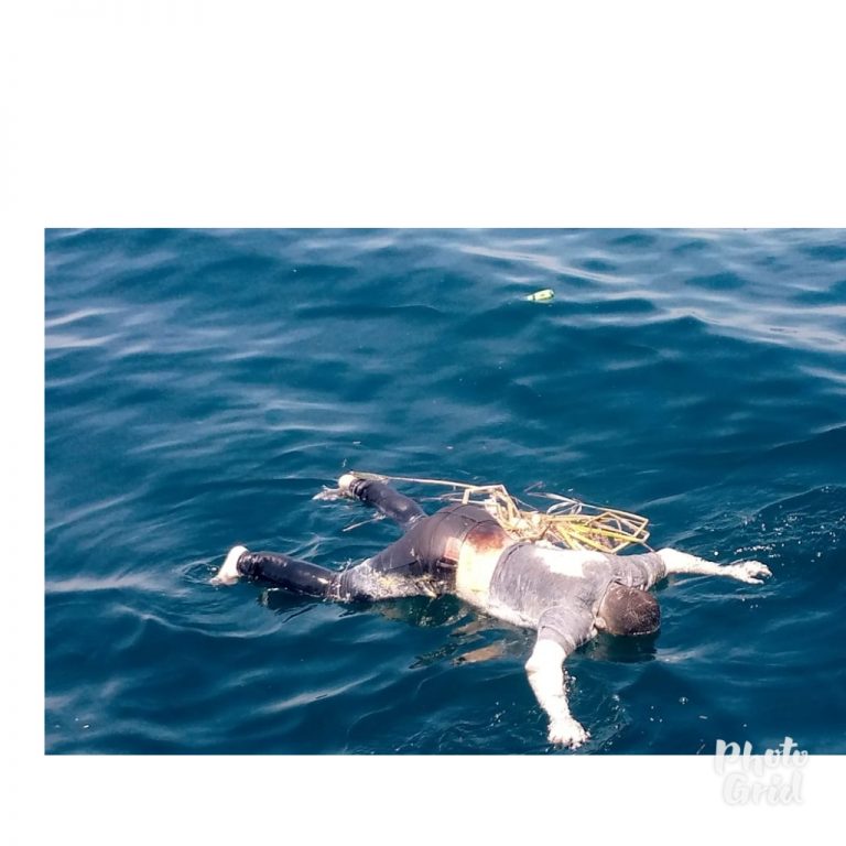 PhotoGrid_1613664179429