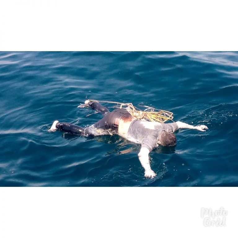 PhotoGrid_1613664890897