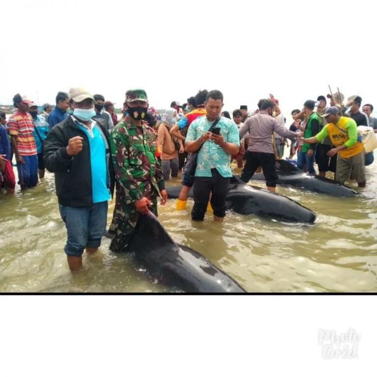 PhotoGrid_1613718044381