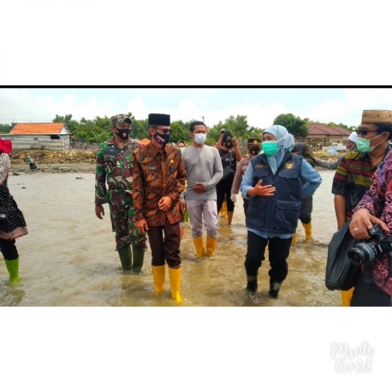 PhotoGrid_1613718074699