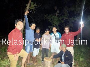 Tebang Lima Pohon Kayu Jati, Dua Warga Kalinganyar diamankan Polisi