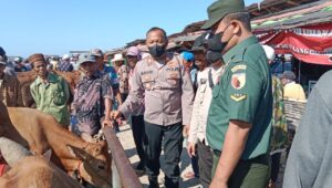 Cegah PMK Polres Sampang Bersama Pukeswan Periksa Hewan Ternak