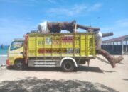 Pembelian Tiket Truck Kapal Feri Sapudi – Situbondo Diduga Tak Sesuai Regulasi