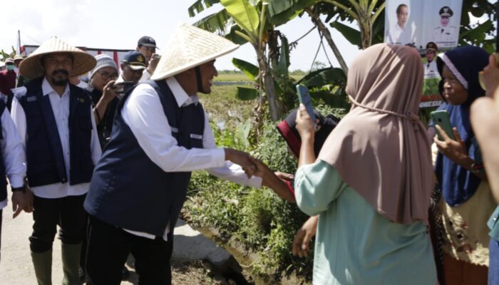 Pemkab Sumenep Optimalkan DBHCHT untuk Pembangunan Irigasi Air Tanah Penghasil Tembakau