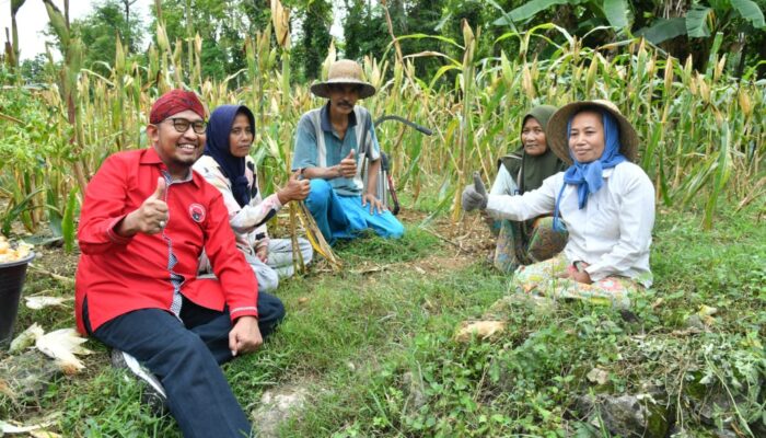 Dampak Positif KIHT: Penciptaan Lapangan Kerja Baru untuk Masyarakat Sumenep